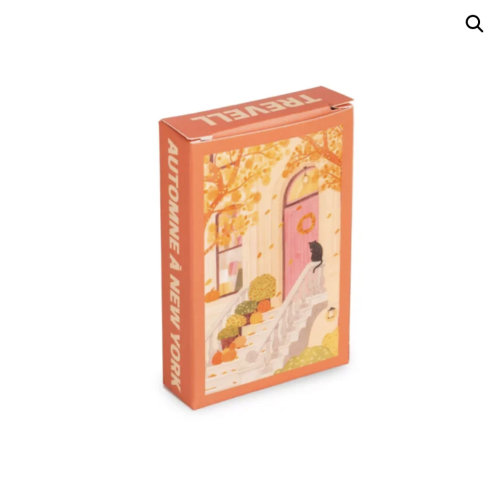 mini puzzle automne à New-York