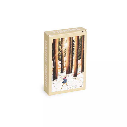 mini puzzle cache cache